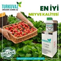 1 Kg. Turkuvaz Organik Mikron Toz Yarasa Gübresi (KATKISIZ)