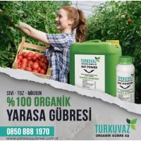 1 Kg. Turkuvaz Organik Mikron Toz Yarasa Gübresi (KATKISIZ)